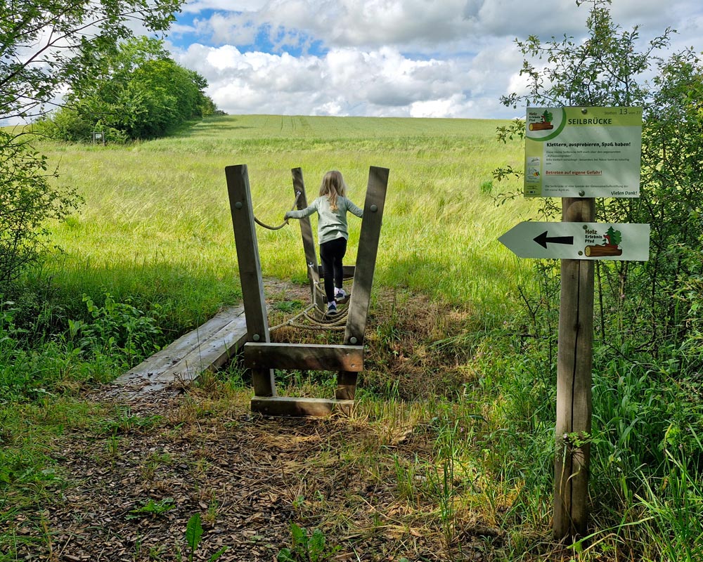 Seilbrücke im Wald