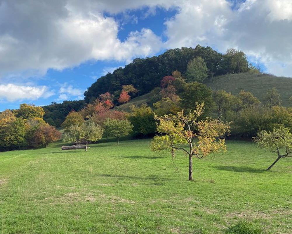 Blick auf den 'Habermeier'